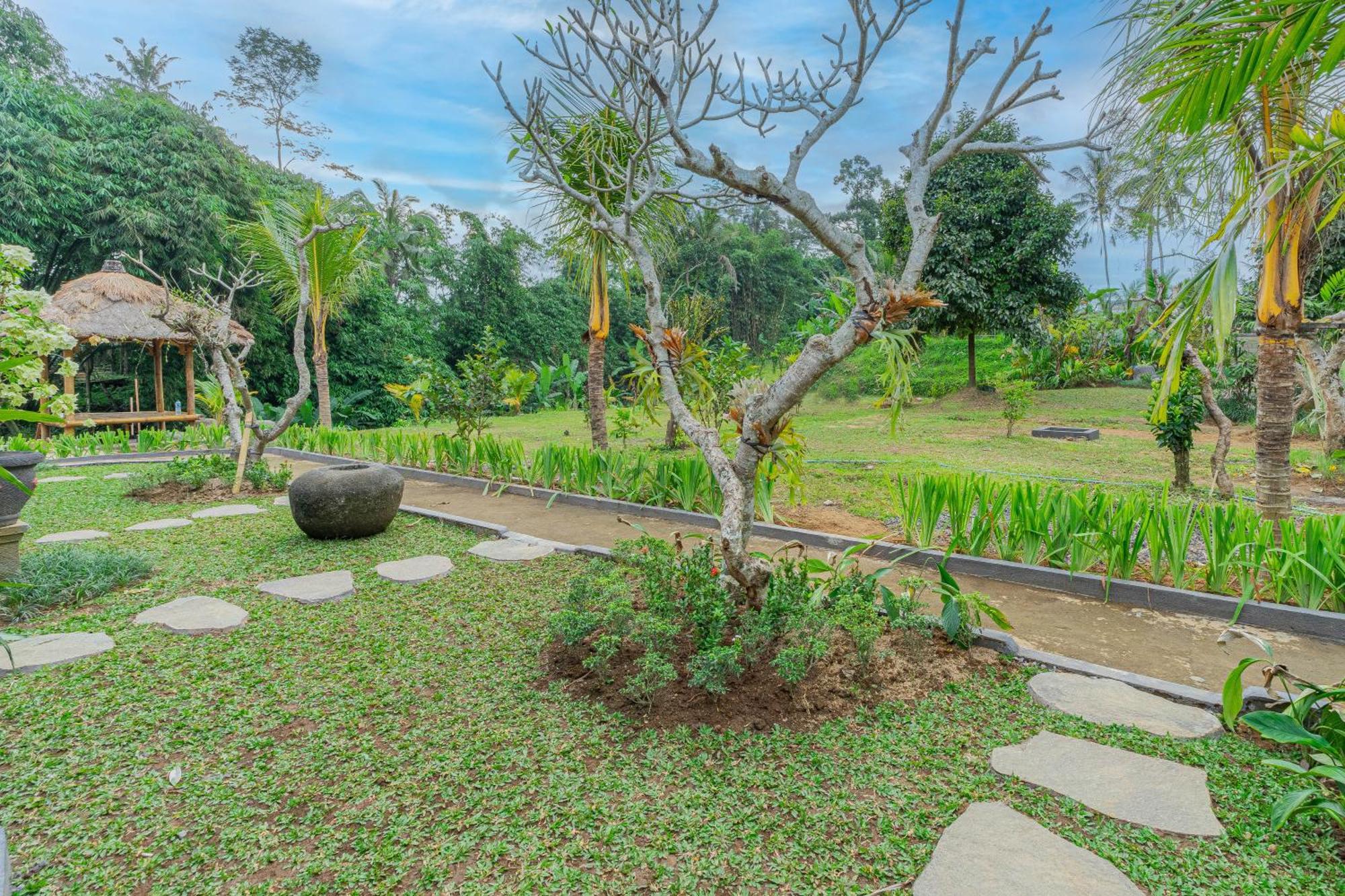 Hotel Puri Kurnia Ayu Ubud Exteriér fotografie